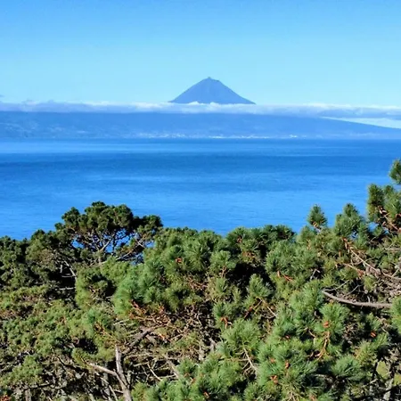 Amu- Misterios Da Apartamento *