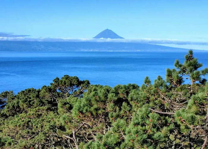 Amu- Misterios Da Appartement *